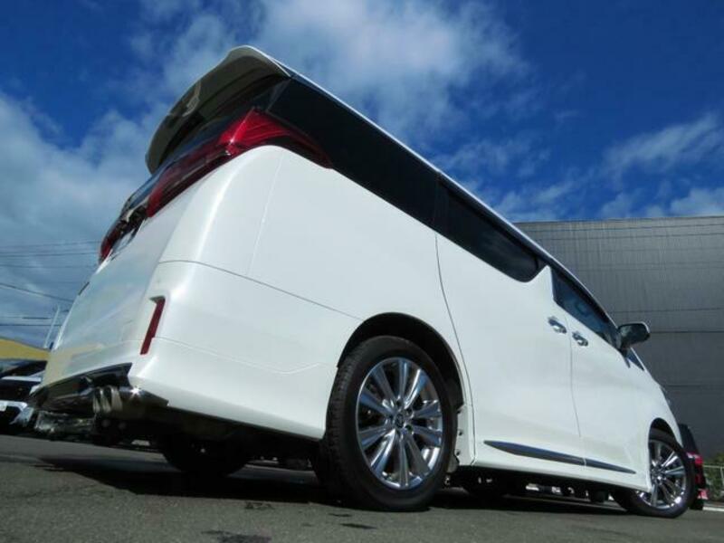 ALPHARD-10