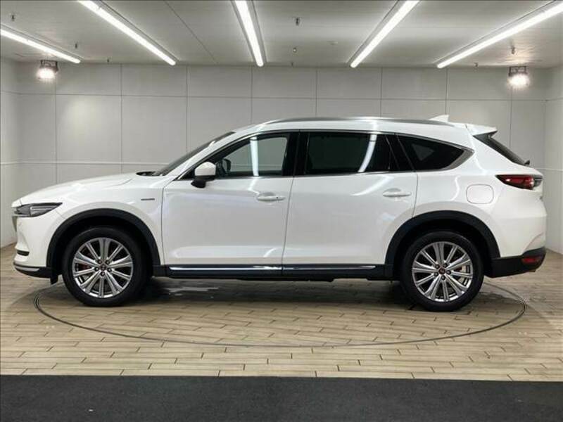 CX-8