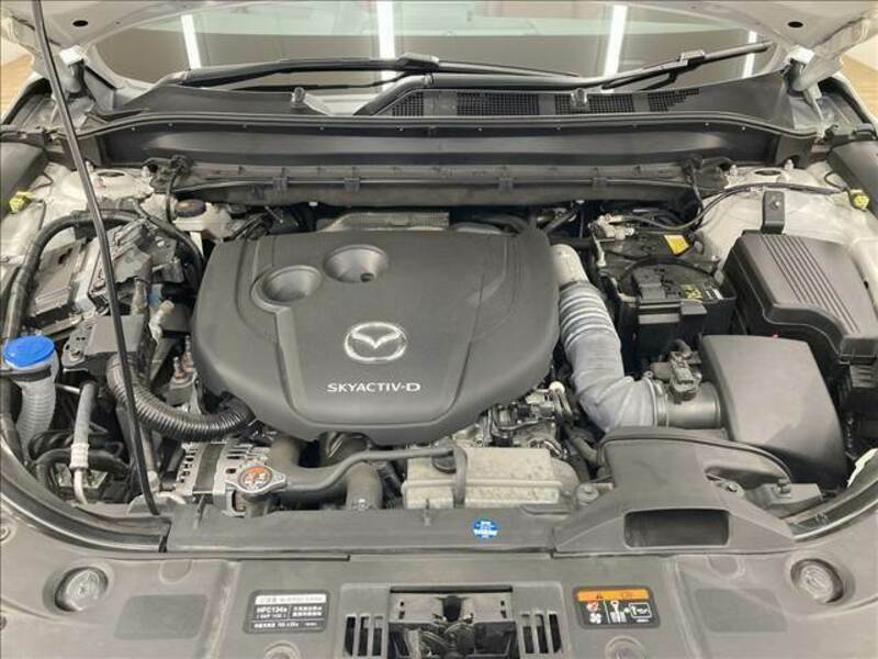 CX-8