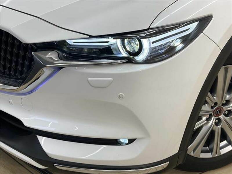 CX-8