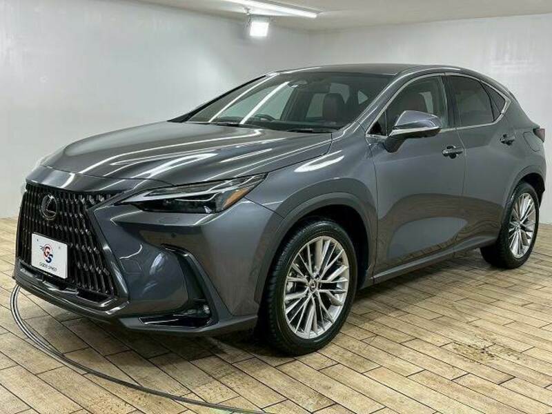 NX
