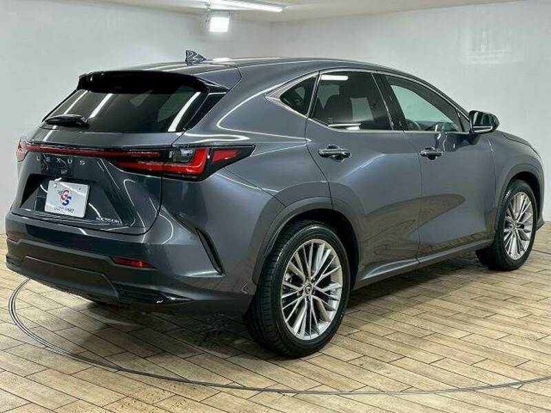 NX