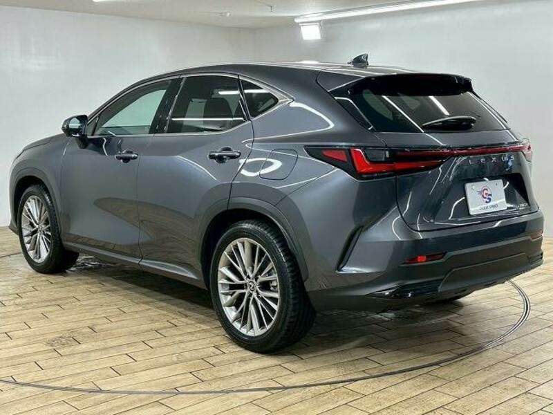 NX