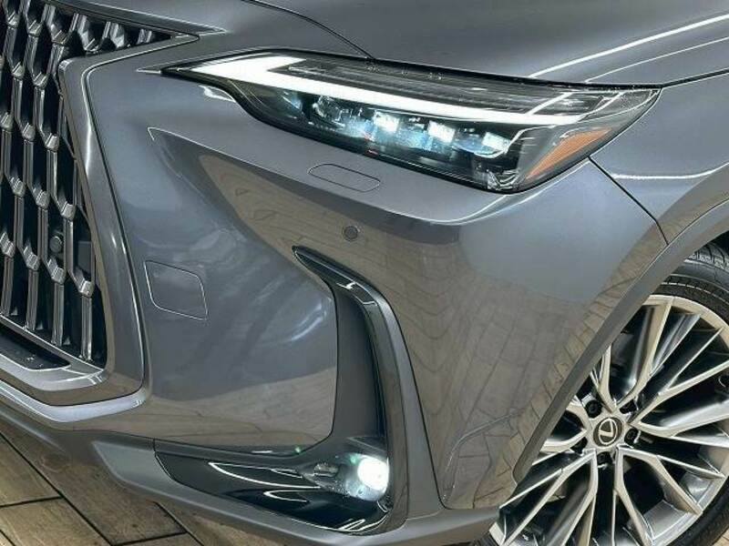 NX