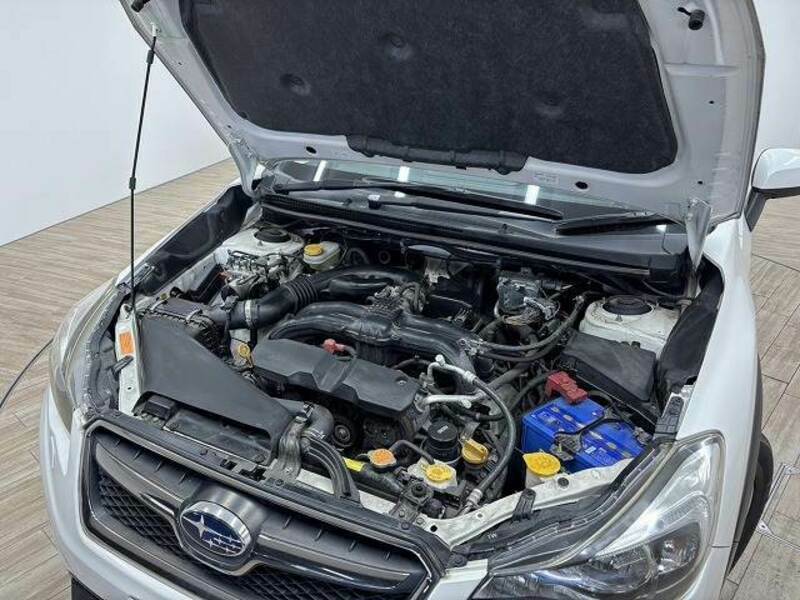 XV