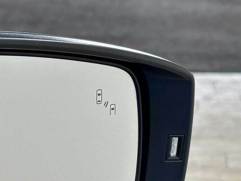 XV