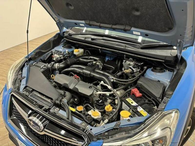 XV
