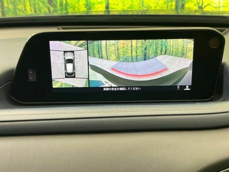 CX-30