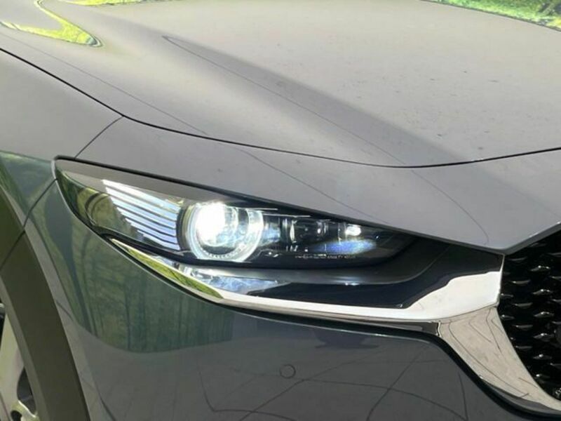 CX-30