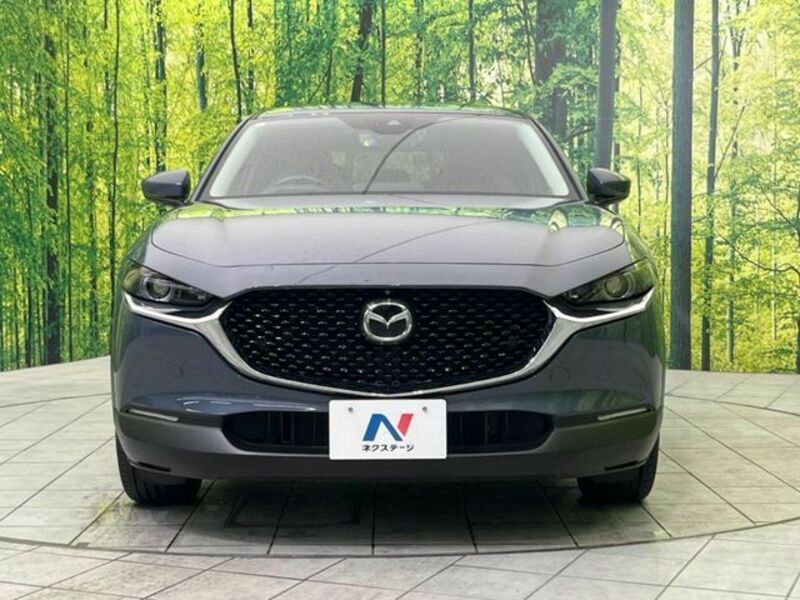 CX-30