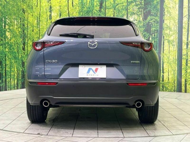 CX-30