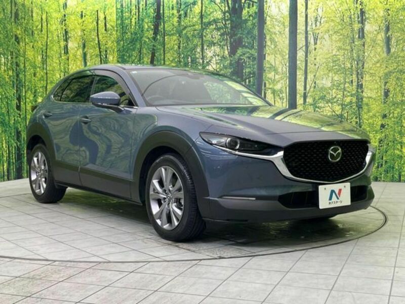 CX-30
