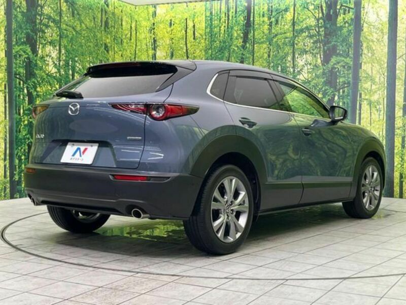 CX-30