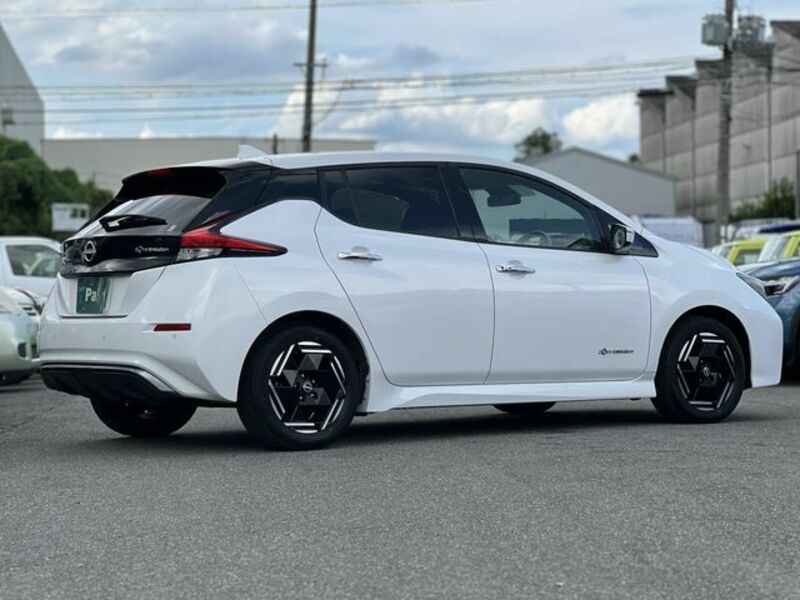 LEAF