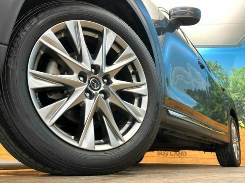 CX-8