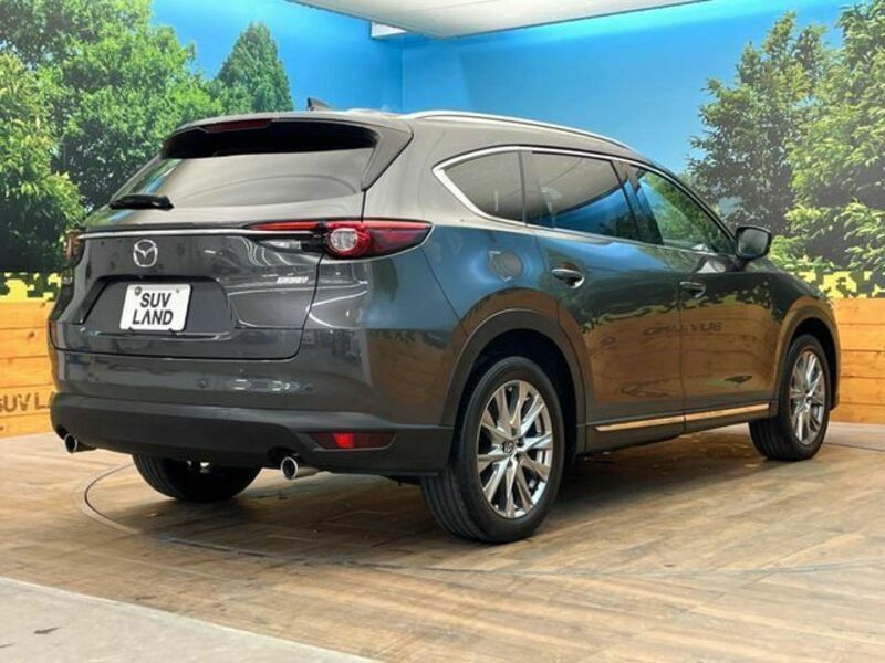 CX-8