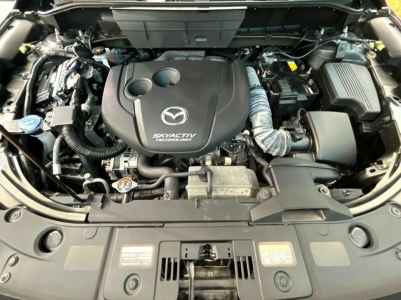 CX-8