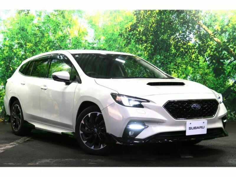 LEVORG-0