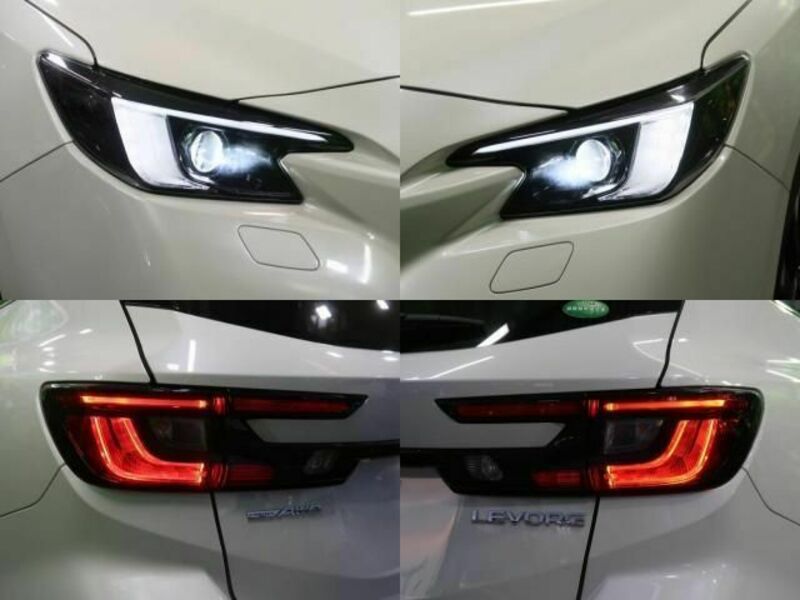 LEVORG