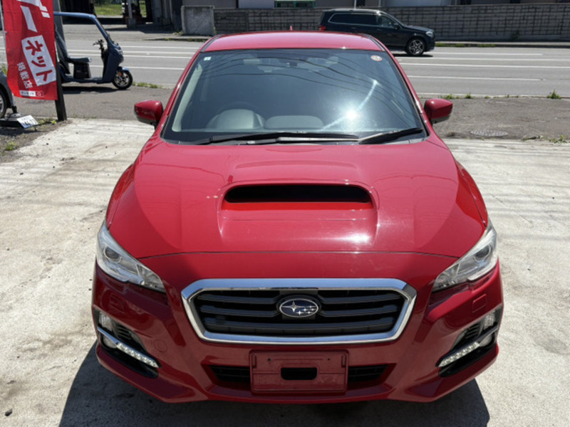 LEVORG