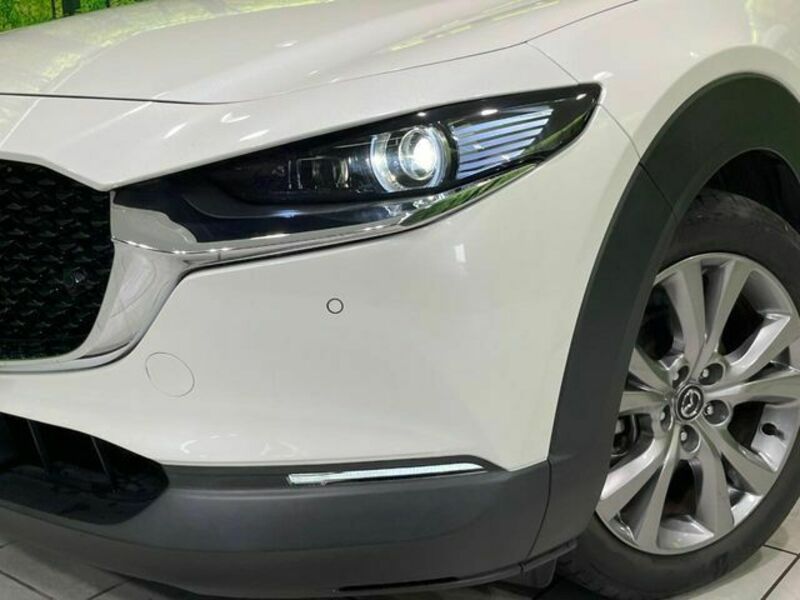 CX-30