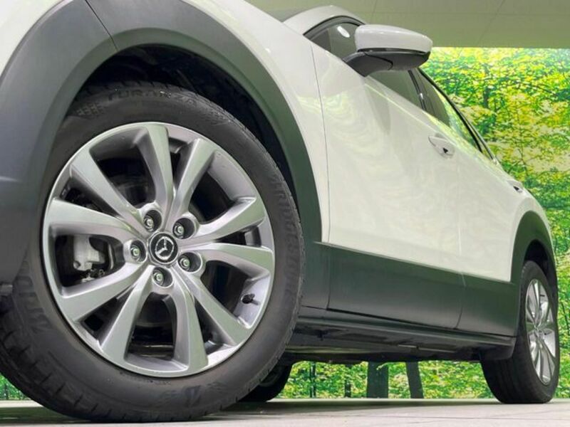 CX-30