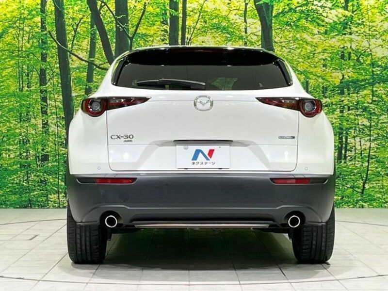 CX-30