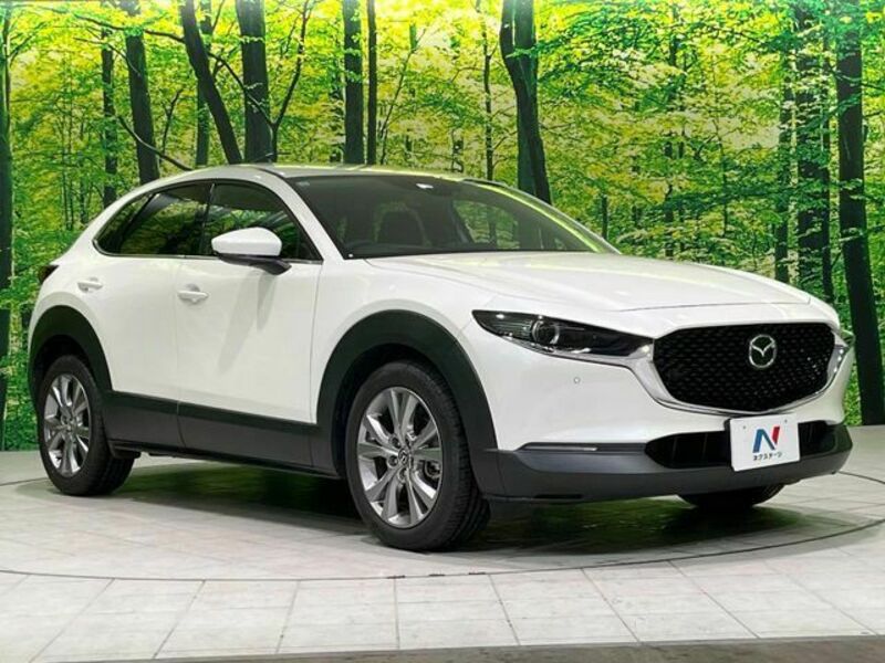 CX-30