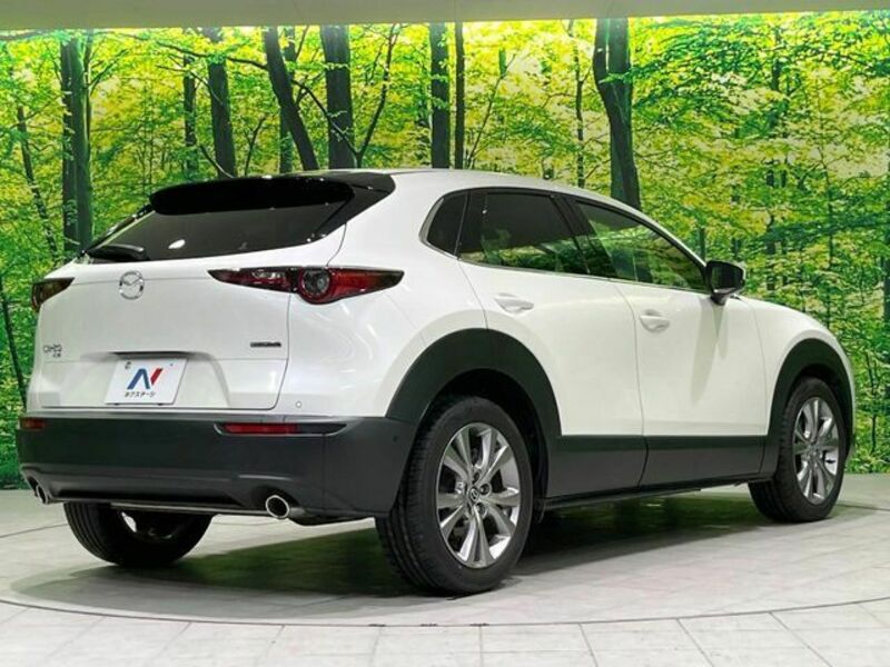 CX-30