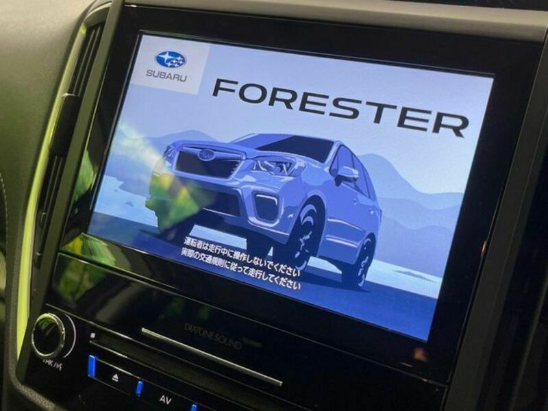 FORESTER
