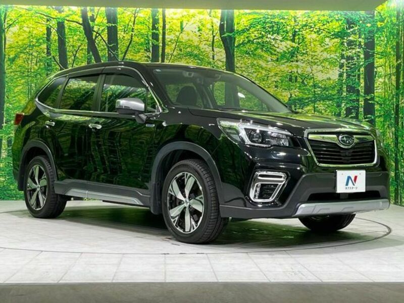 FORESTER