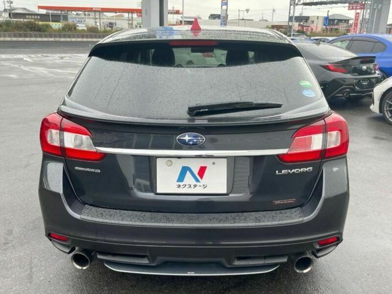 LEVORG