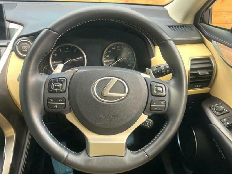 NX