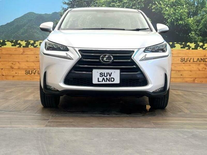 NX