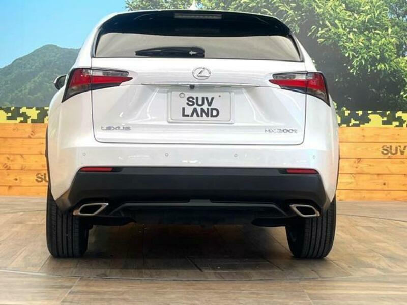 NX