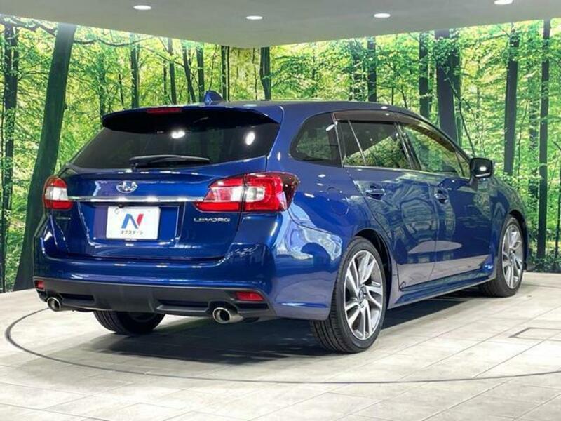 LEVORG