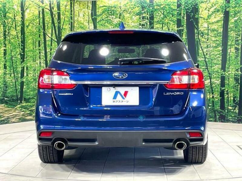 LEVORG