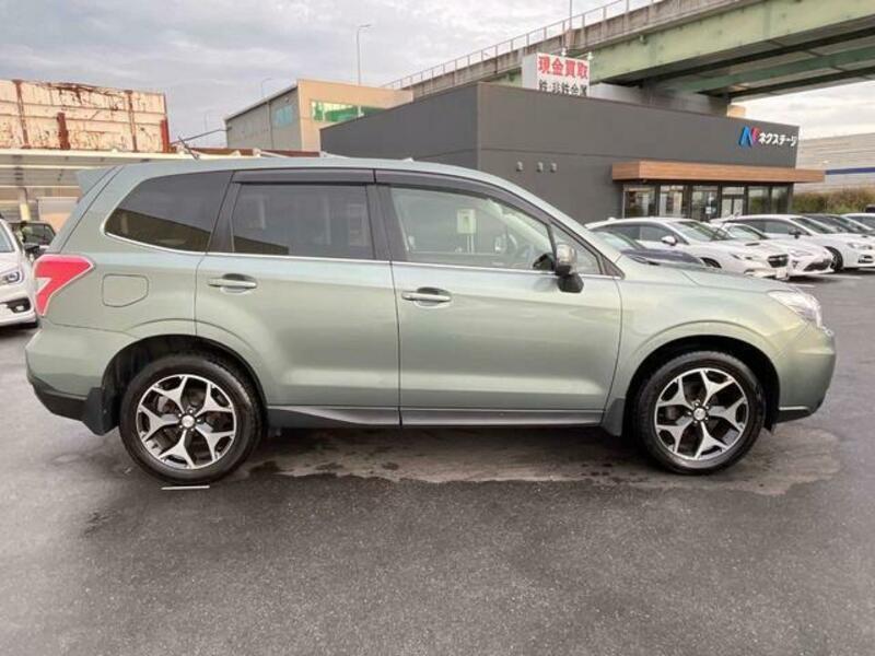 FORESTER