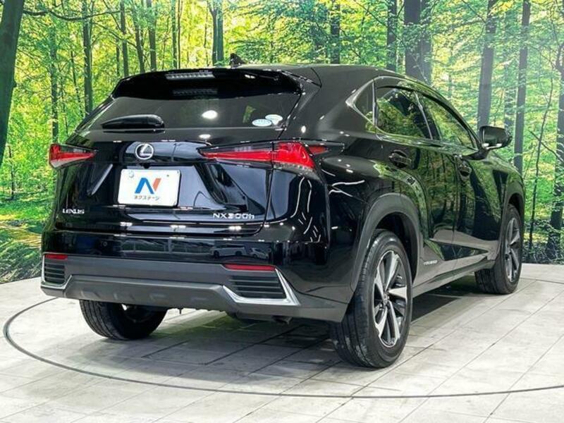 NX