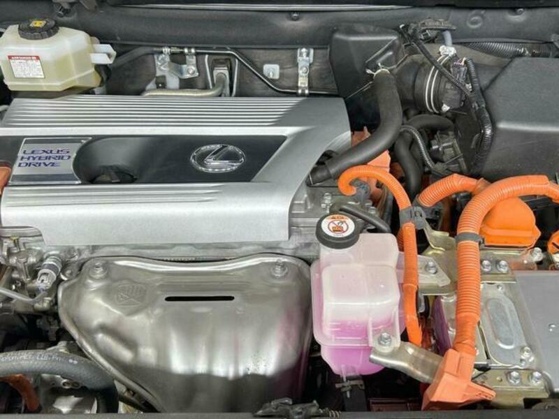 NX