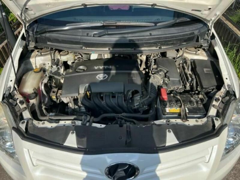 AURIS