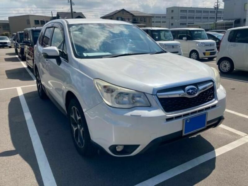 FORESTER