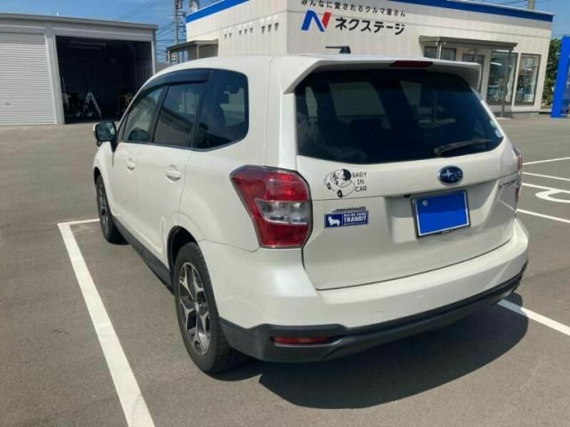 FORESTER