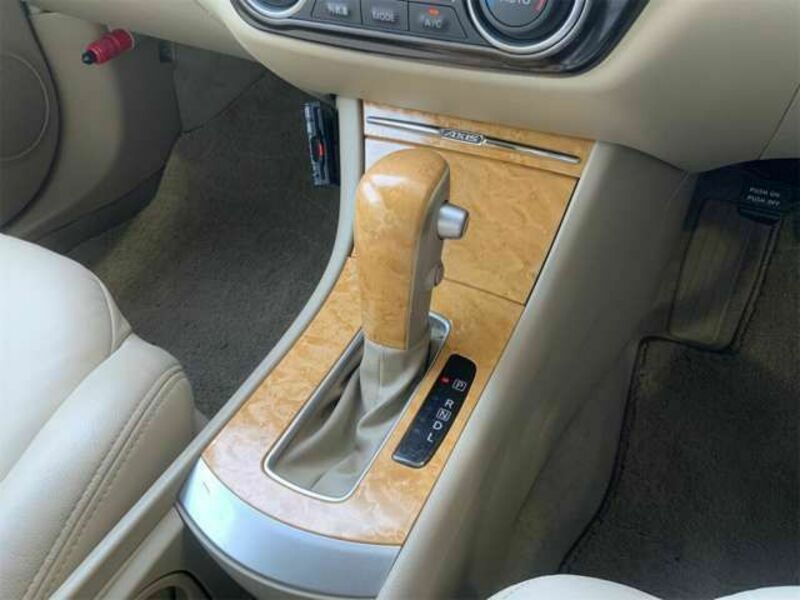 BLUEBIRD SYLPHY