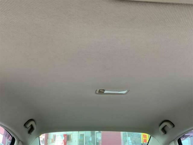 BLUEBIRD SYLPHY