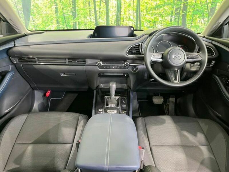 CX-30