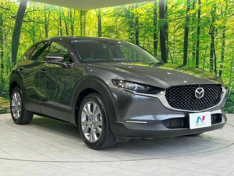 CX-30