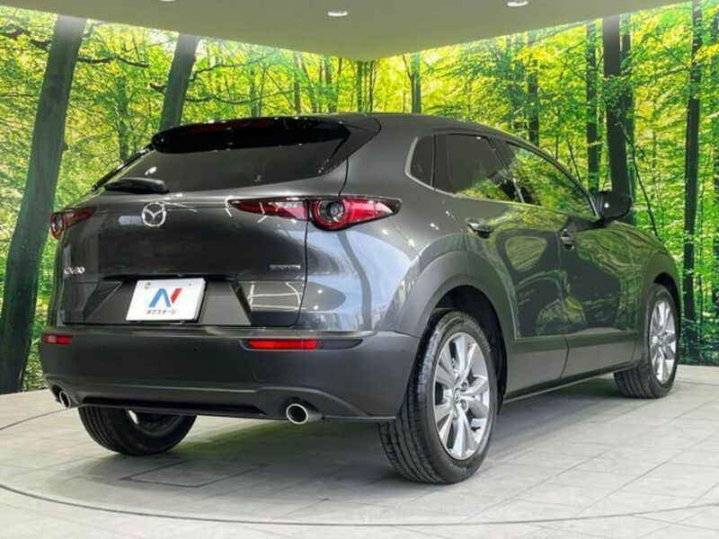 CX-30