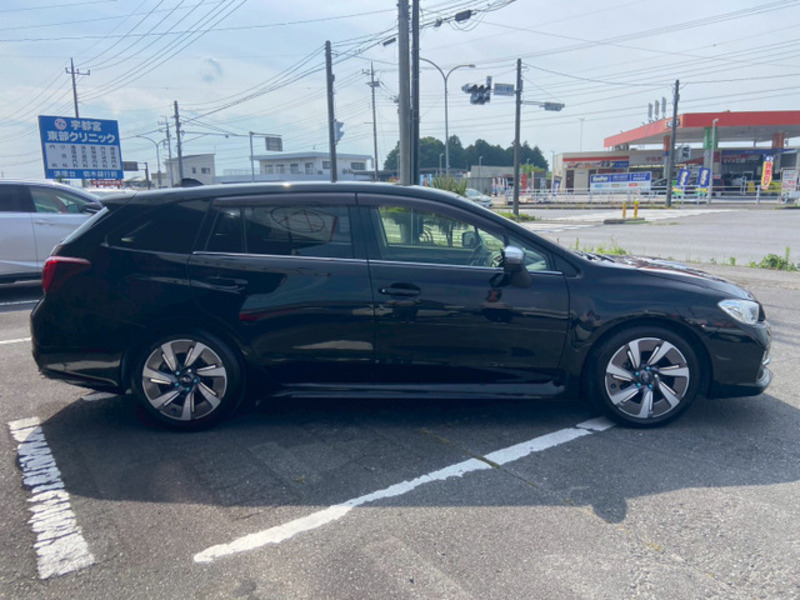 LEVORG