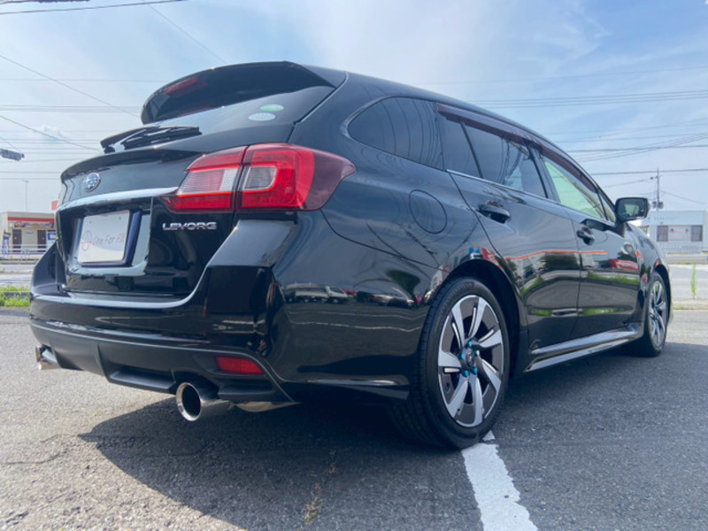 LEVORG
